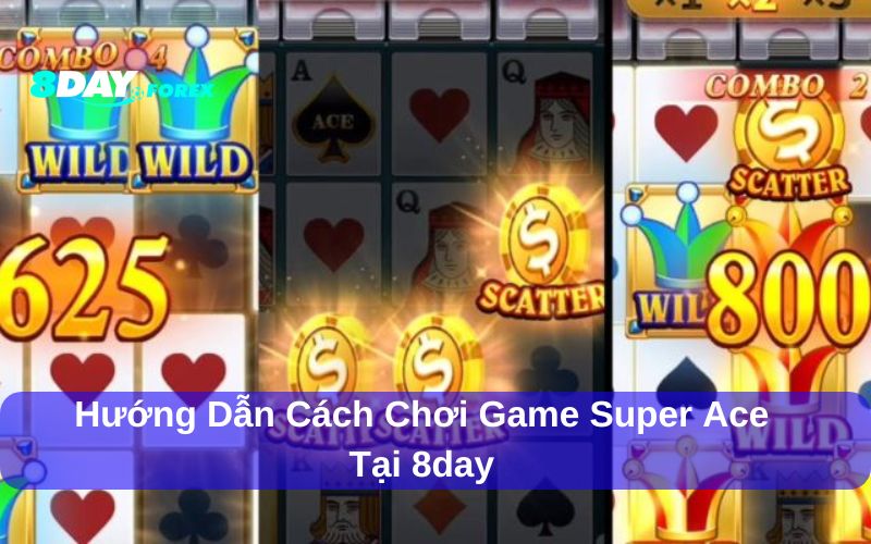 Cách chơi game Super ACE hiệu quả nhất dành cho người mới